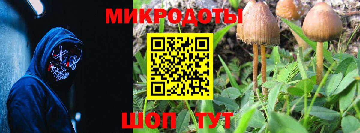 Татарск  Галлюциногенные грибы GOLDEN TEACHER  Псилоцибиновые грибы Psilocybe  Вход с VPN 